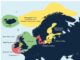 Nur noch drei der zwölf Heringsbestände im Nordostatlantik sind in gutem Zustand