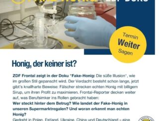 Honig, der keiner ist - Was steckt hinter dem Betrug?