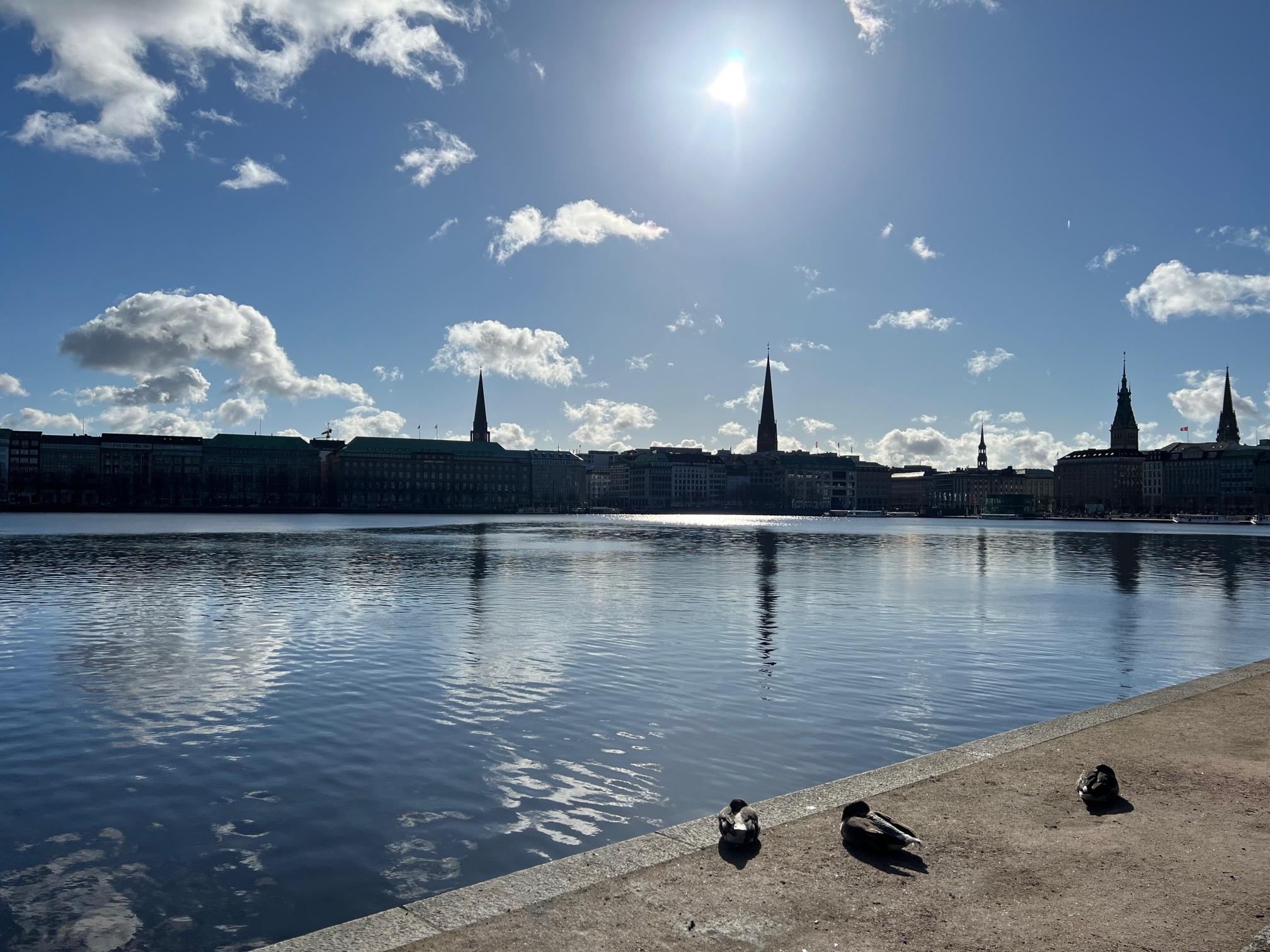 Die Binnenalster in Hamburg