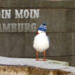 Möve mit HSV-Mütze