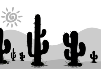 USA Sonora Wüste