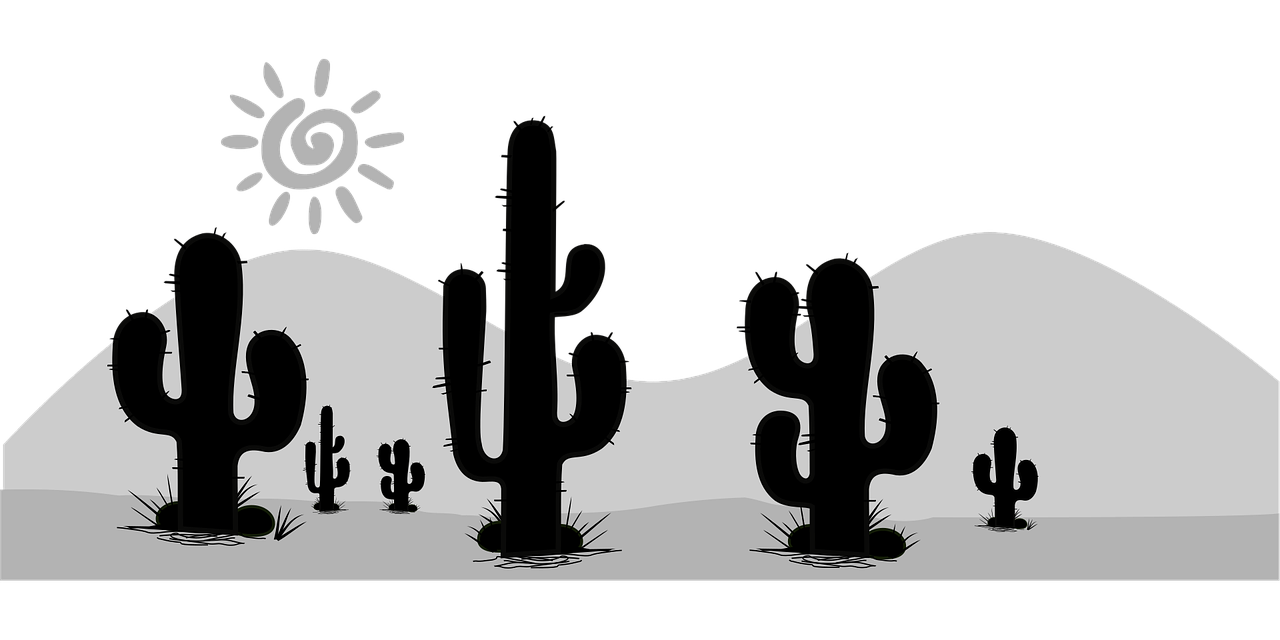 USA Sonora Wüste