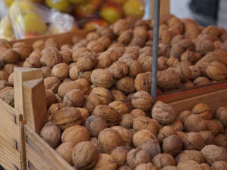 Viele Nüsse sind sehr gesund