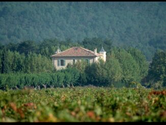 Weingut Château Duvivier