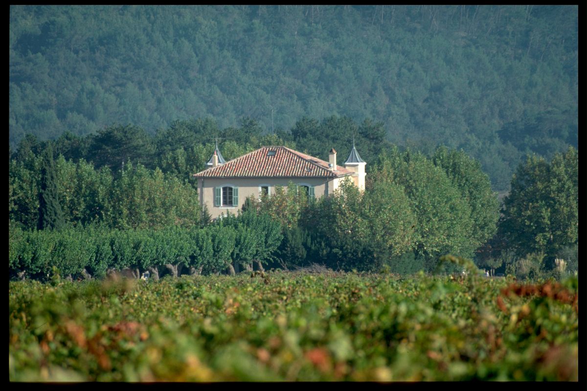 Weingut Château Duvivier