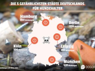 Karte von Deutschland mit den fünf gefährlichsten Städten für Hundehalter