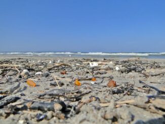 Bernsteine am Strand auf Rügen