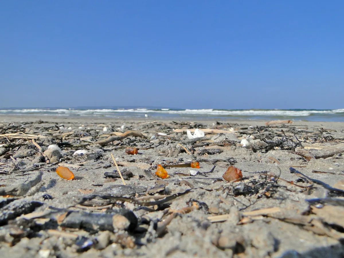Bernstein am Strand auf Rügen | hamburg040 Bernsteine am Strand auf Rügen