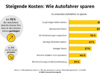Steigende Kosten: Wie Autofahrer zu sparen versuchen