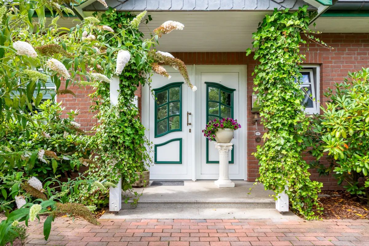 von Pflanzen umrankter Hauseingang