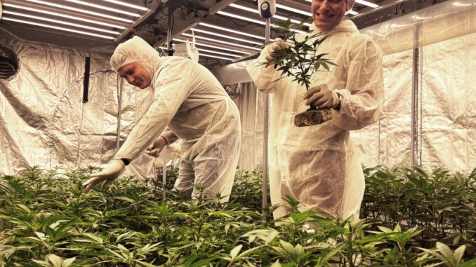 Vereins-Geschäftsführer Jannik Friedrich und Mitglied Dmytro Burakov im Indoor Anbau zwischen den jungen Pflanzen