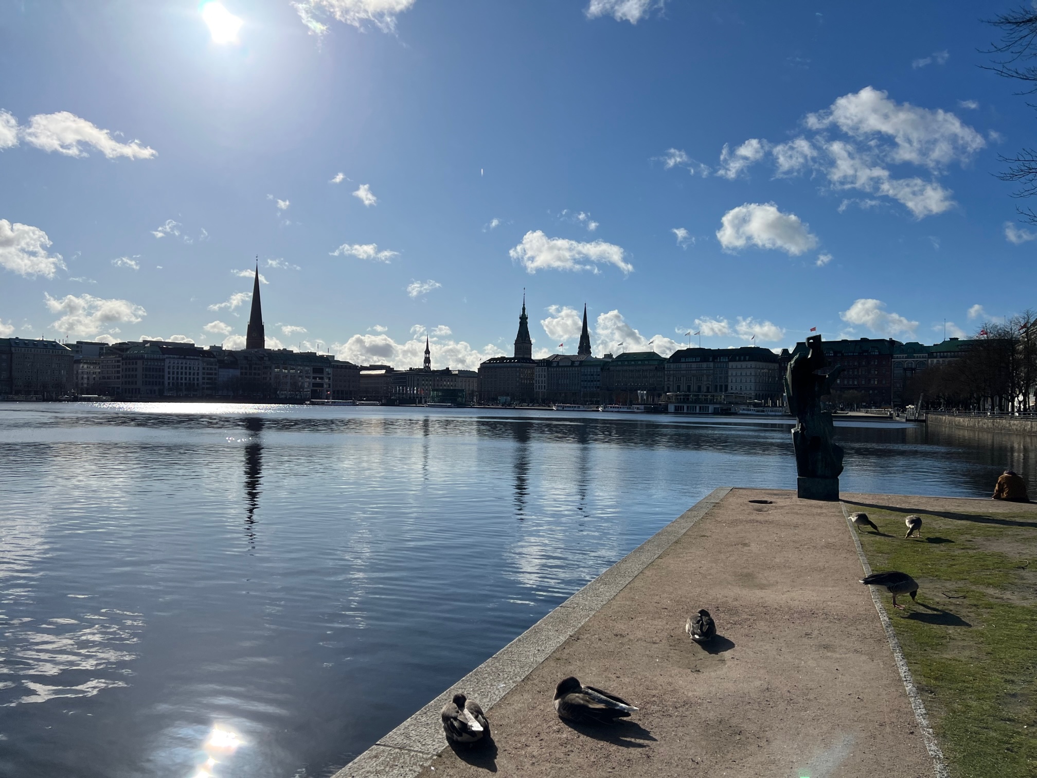Die Hamburger Binnenalster 