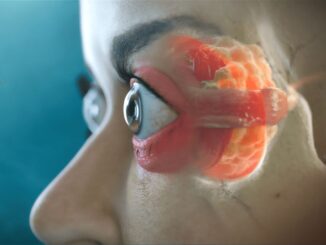 In der Augenheilkunde zählt jedes Detail