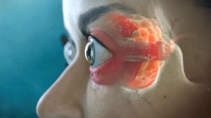 In der Augenheilkunde zählt jedes Detail