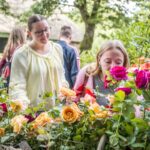 Historische und moderne Sorten beim Rosenmarkt im Freilichtmuseum am Kiekeberg