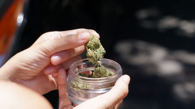 Medizinal Cannabis auf Rezept