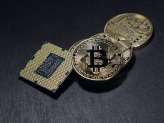Die Bitcoin-Dominanz ist nicht zu übersehen