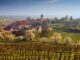 Vineyard rows in bloom with blossoming trees and a hillside village featuring a church tower under a blue sky.