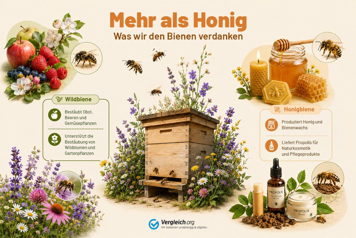 Weltbienentag der UN: verdiente und notwendige Aufmerksamkeit für Bienen