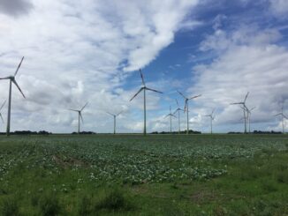 Wind turbines in a flat field under a partly cloudy blue sky; rows of tall towers with red tips.