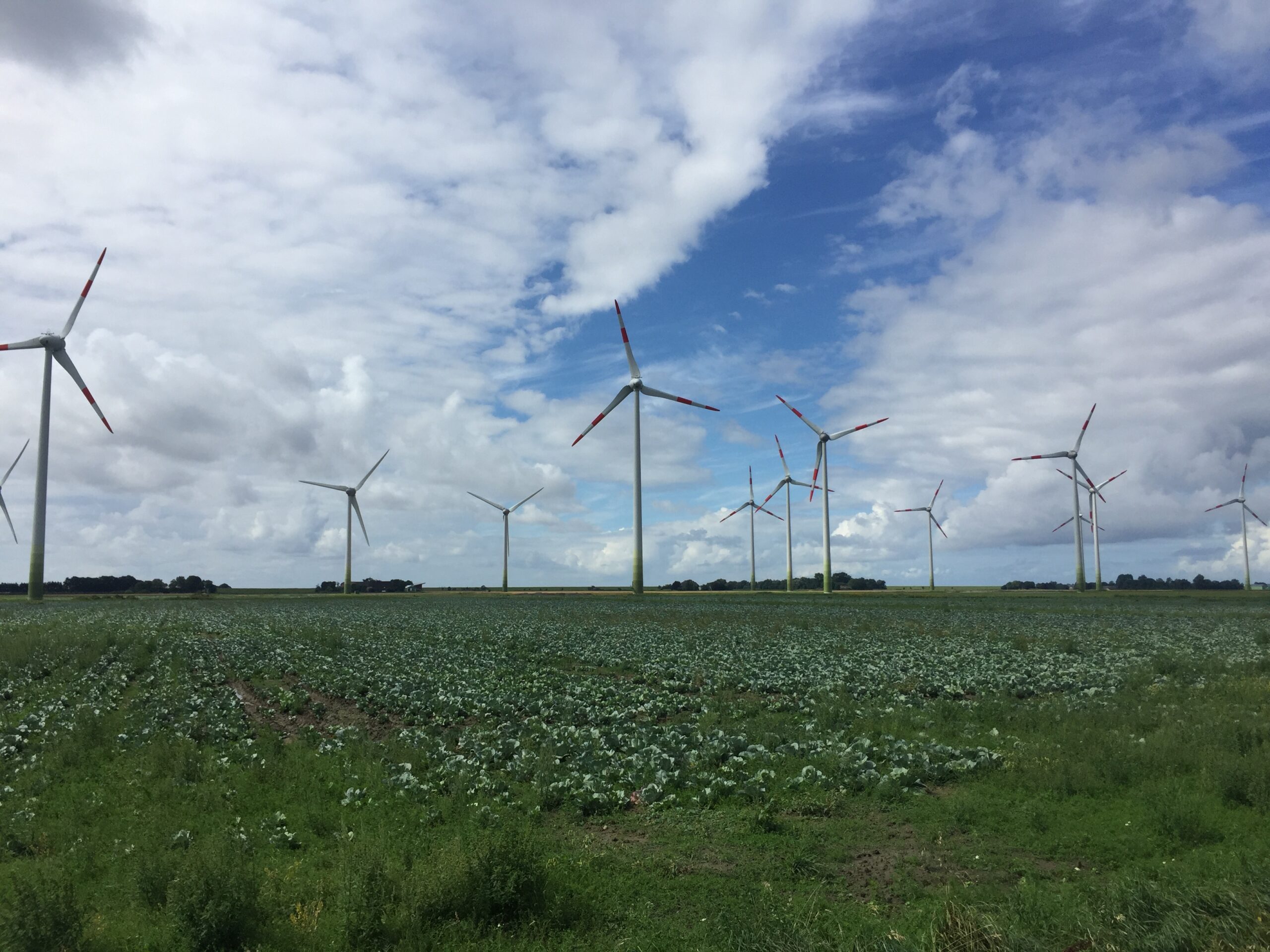 Energie aus Windkraft Stromerzeugung