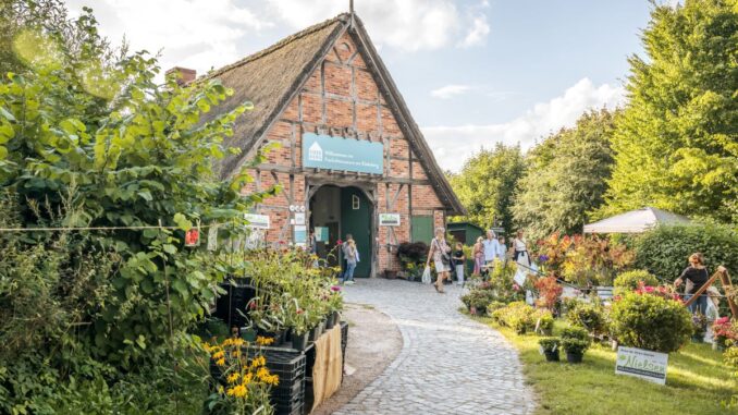 Bunte Blumenvielfalt und Fachwissen: Pflanzenmarkt im Freilichtmuseum am Kiekeberg