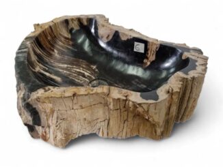 Fossiles Waschbeckenunikat aus versteinertem Holz von Kinaree