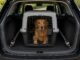 Hund in der Transportbox im Kofferraum
