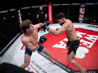 Thomas Henkel vs Mykhailo LinkeWLMMA88
