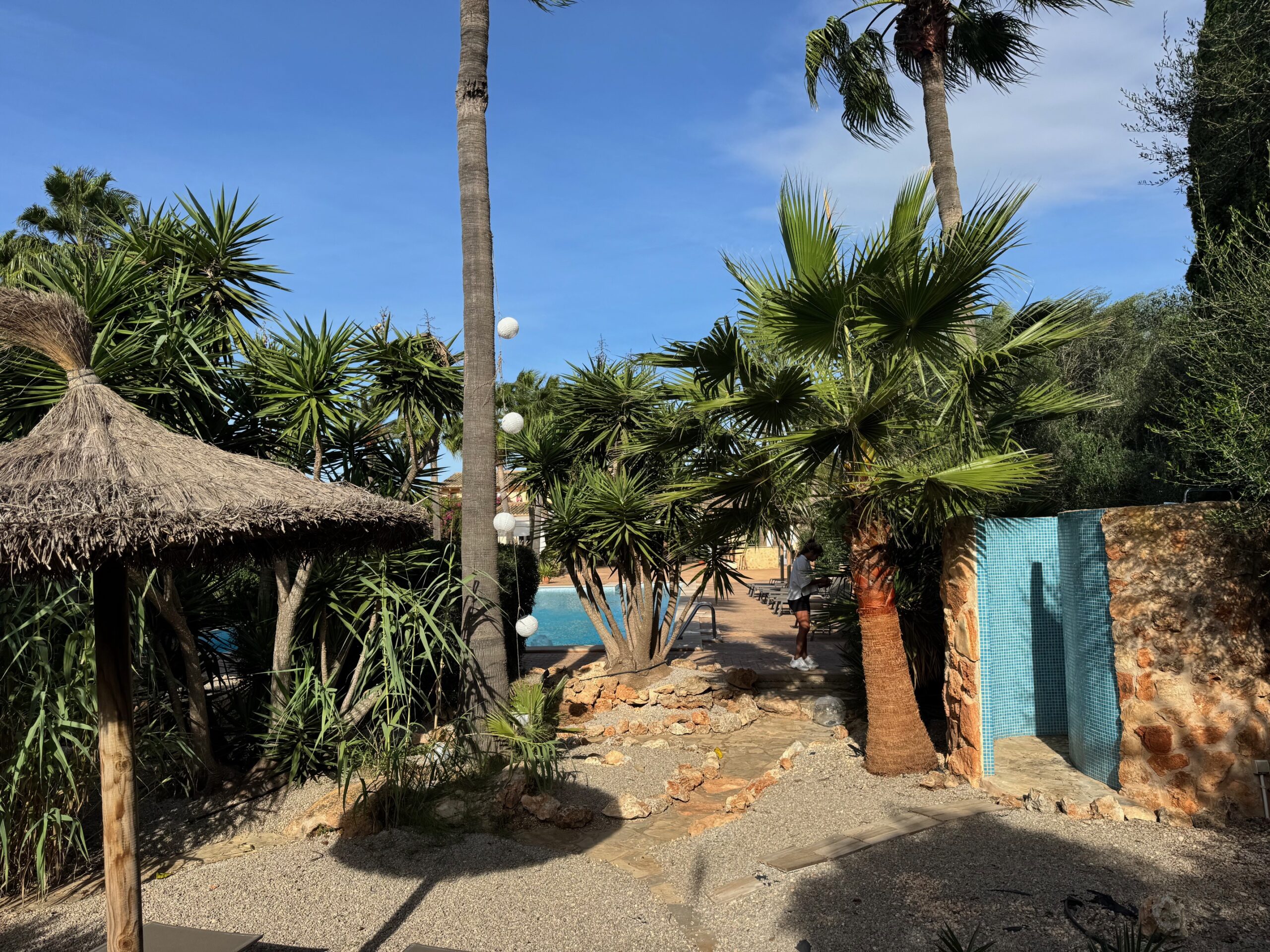 Natur und Palmen, alles grünt so grün